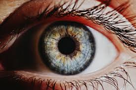 human eye retina shamanic healing sananga 